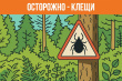 Защита от клещей в весенний сезон