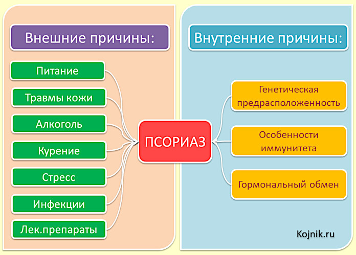Shema1-Novaya2.jpg